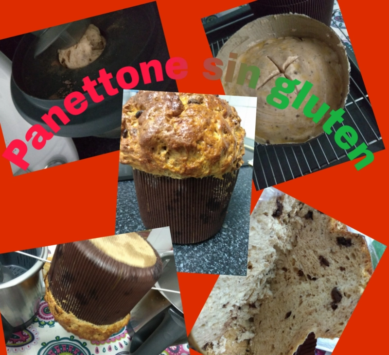 Panettone sin gluten