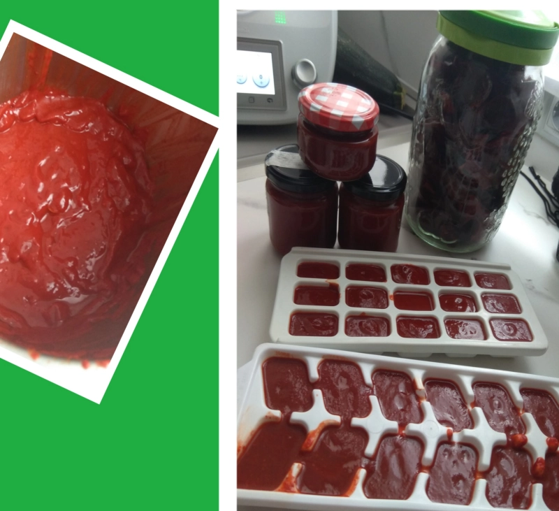 Concentrado de pimiento choricero