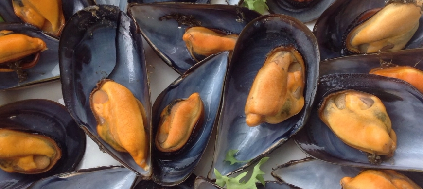 Cómo limpiar mejillones con el cubrecuchillas