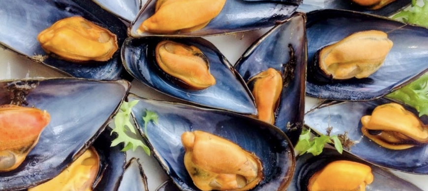 Mejillones al vapor