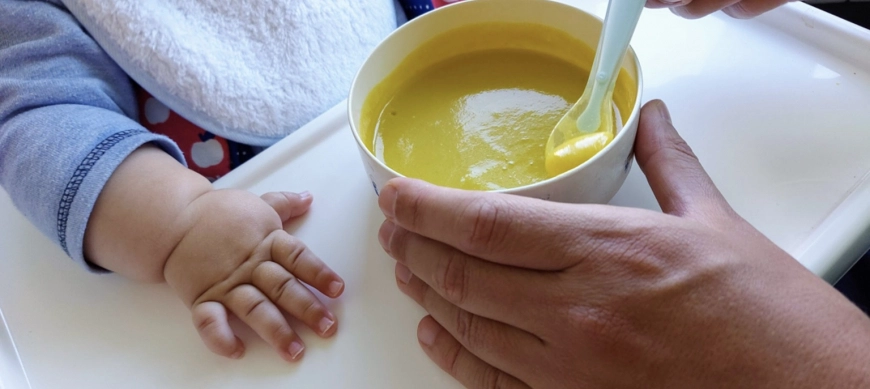 Puré de verdura y ternera