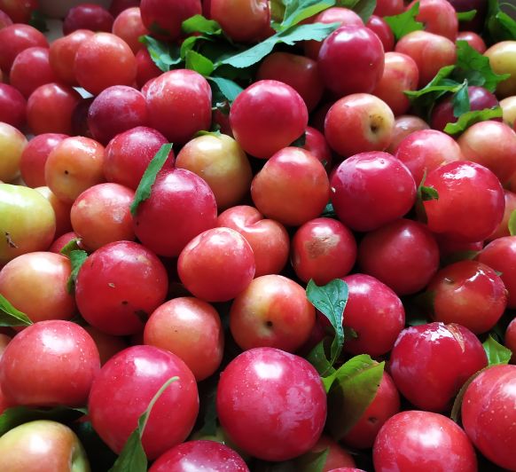 Blogs De Thermomix En Santander Blogosfera Thermomix